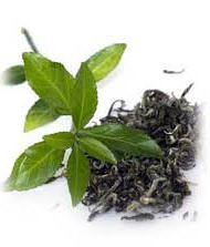 Phyto-tea